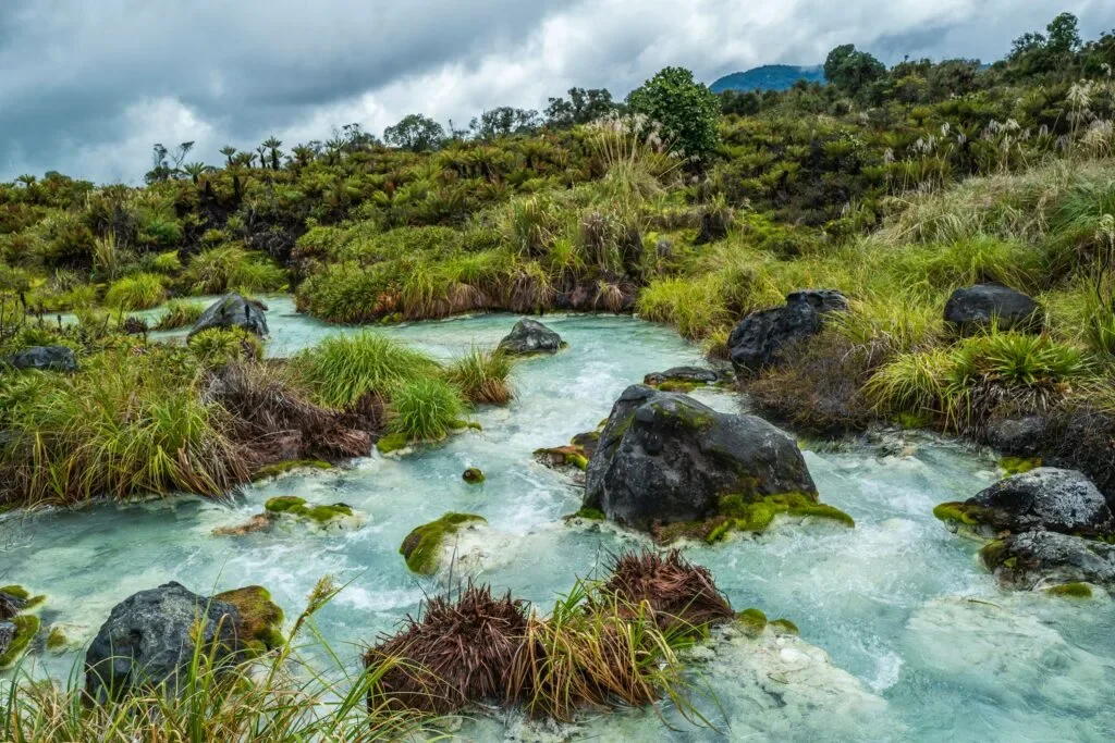 Parc national naturel Los Katíos, Colombie, Colombie
