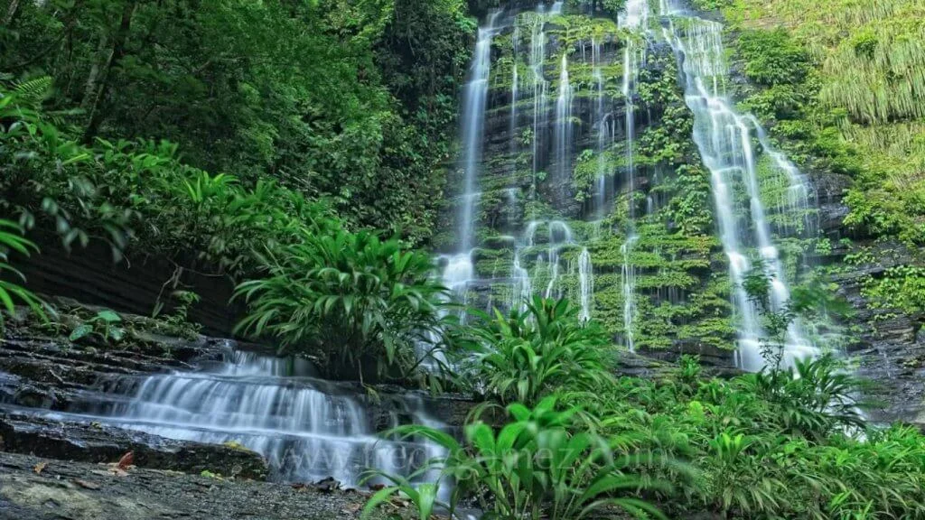 Parc national naturel Los Katíos, Colombie, Colombie