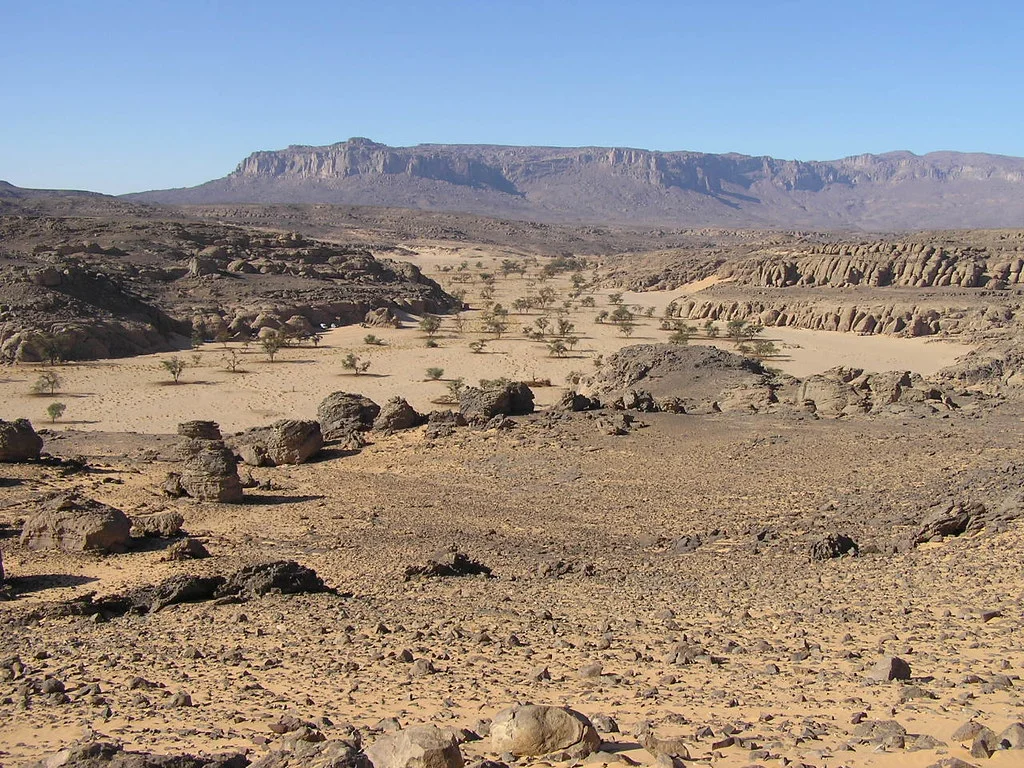 Forêts claires xérophiles d'altitude du Tibesti et du Jebel Uweinat, Égypte, Soudan, Libye, Tchad