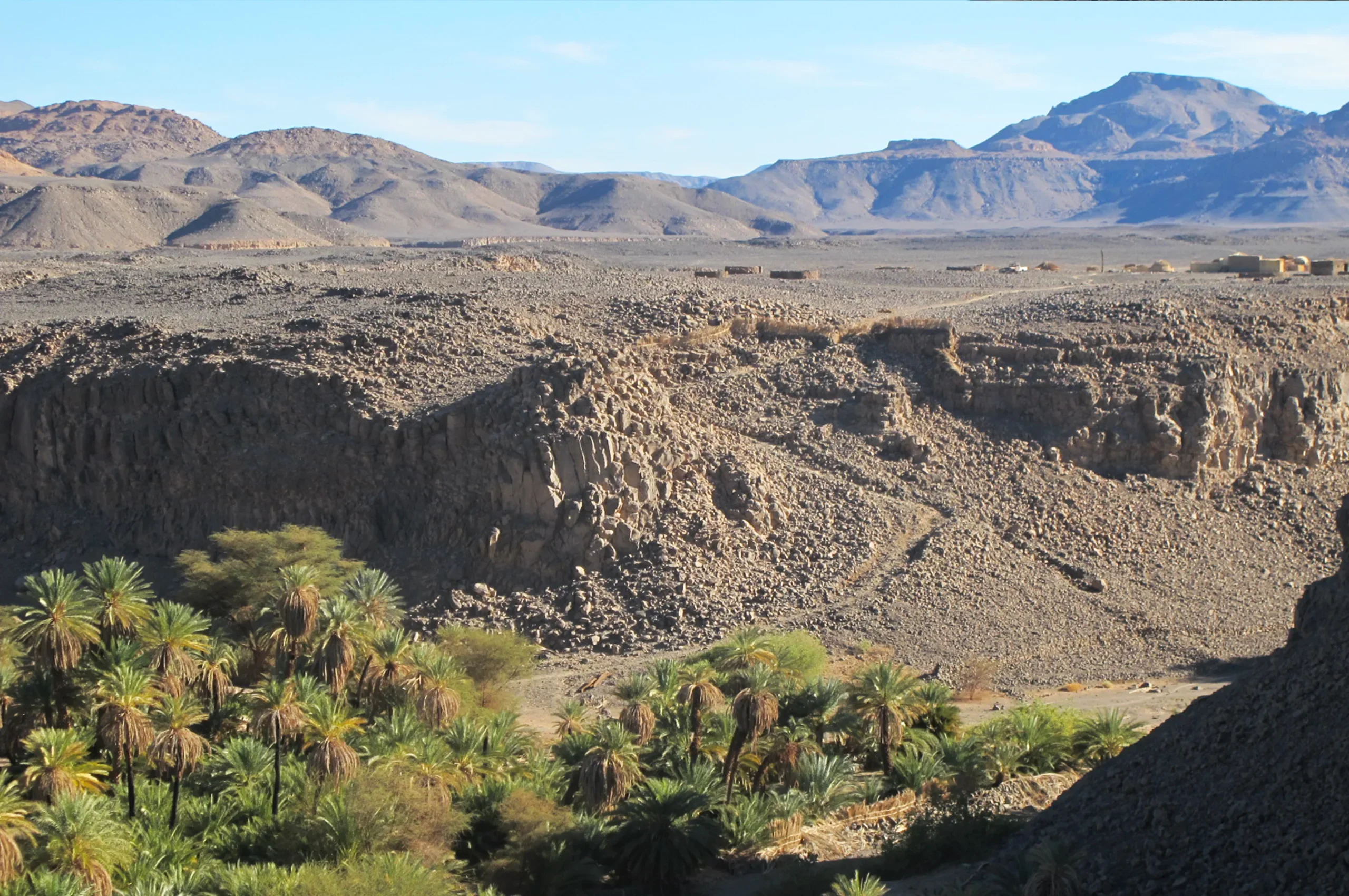 Forêts claires xérophiles d'altitude du Tibesti et du Jebel Uweinat, Égypte, Soudan, Libye, Tchad