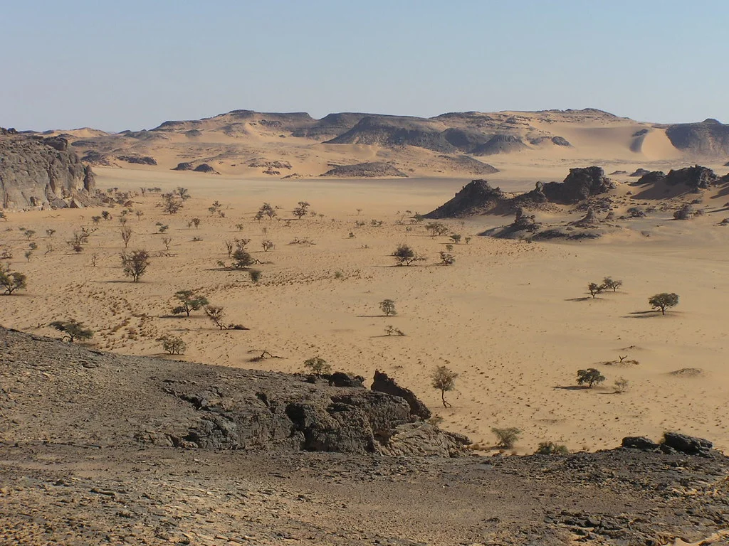 Forêts claires xérophiles d'altitude du Tibesti et du Jebel Uweinat, Égypte, Soudan, Libye, Tchad