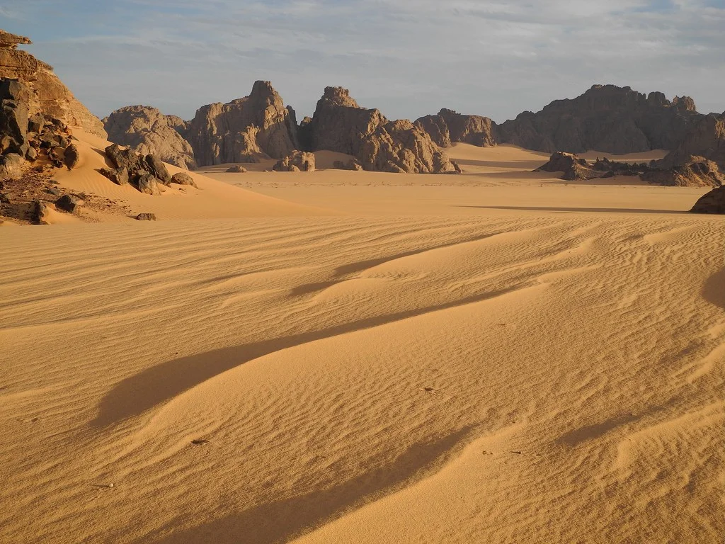 Forêts claires xérophiles d'altitude du Tibesti et du Jebel Uweinat, Égypte, Soudan, Libye, Tchad