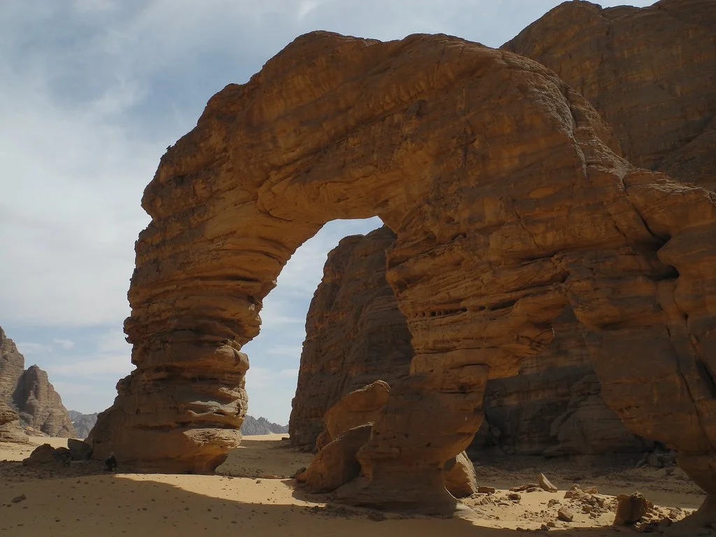 Forêts claires xérophiles d'altitude du Tibesti et du Jebel Uweinat, Égypte, Soudan, Libye, Tchad