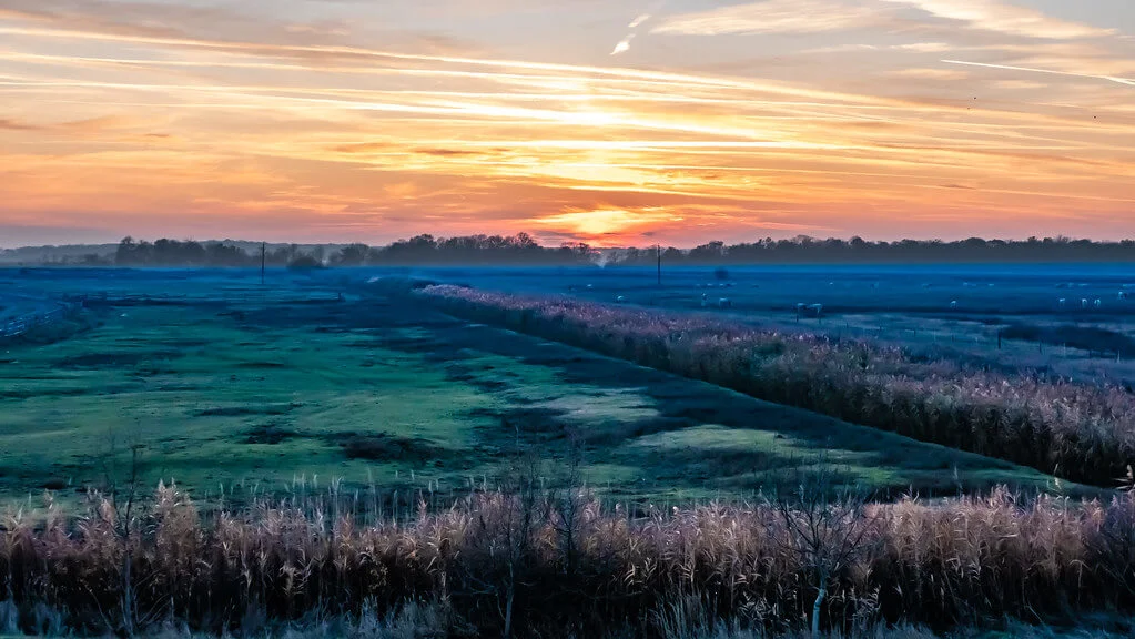 Parc national Hortobagyi, Hongrie