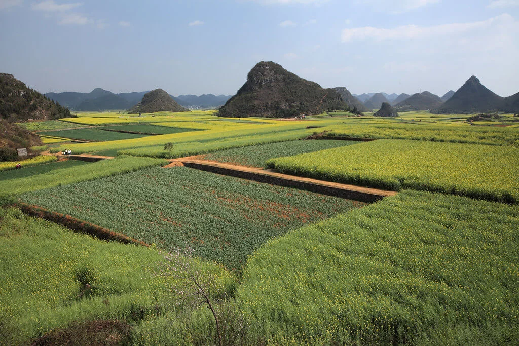 Luoping, Chine