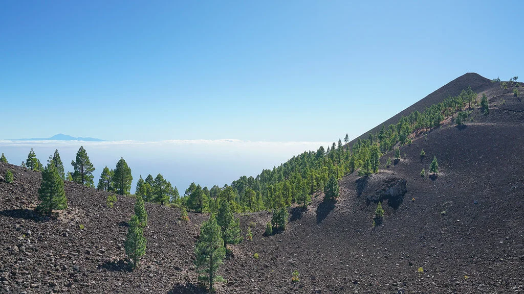 Parc naturel de Cumbre Vieja, Espagne, Canaries