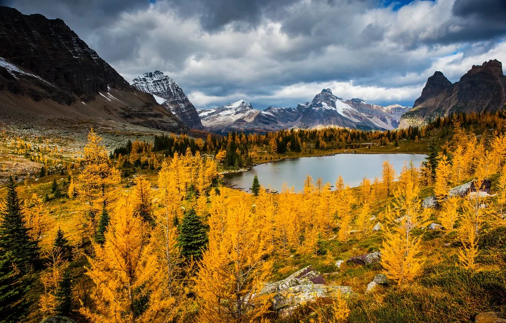 Opabin Lake, Canada