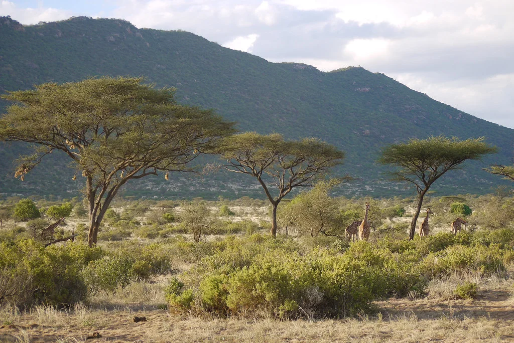 Ewaso Ng'iro, Kenya