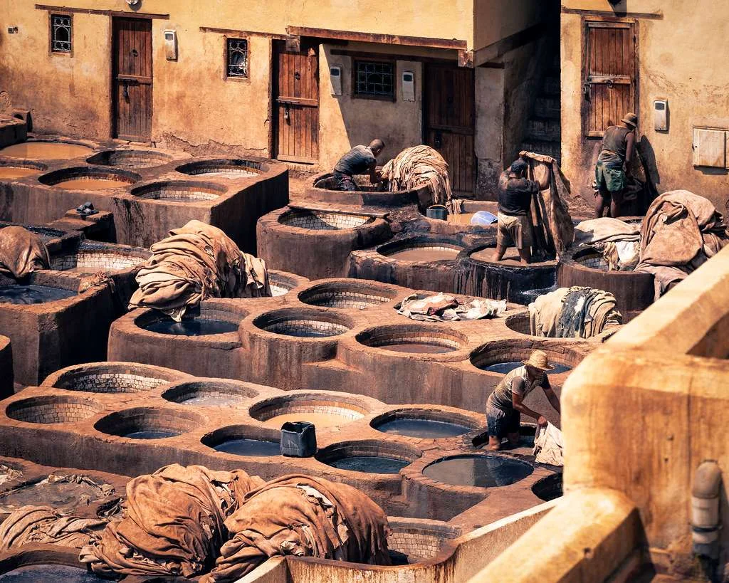 Tannerie Chouara, Maroc