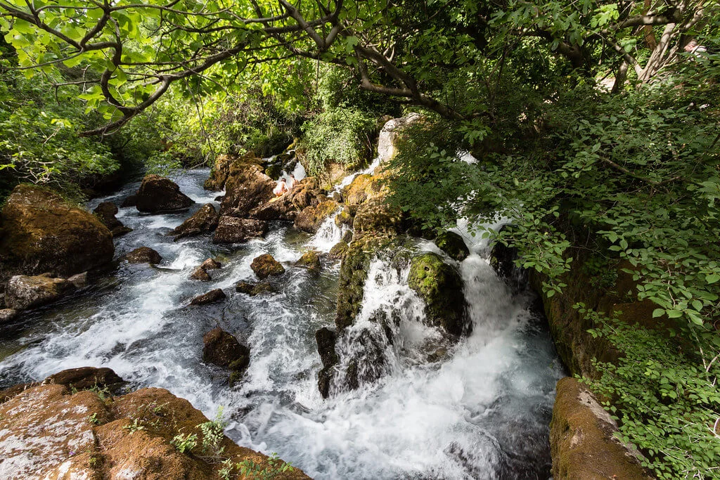 La Sorgue de Velleron, France