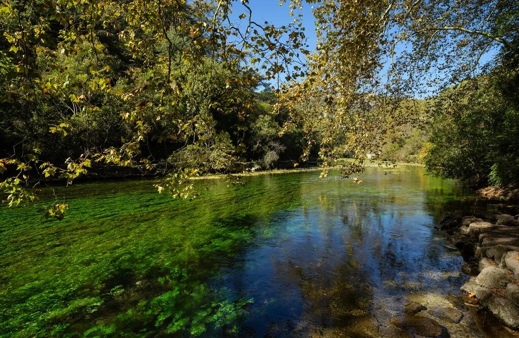 La Sorgue de Velleron, France