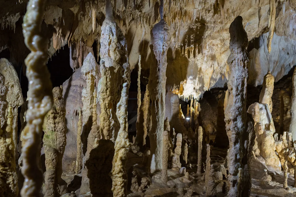 Grotte de l'Ours, Roumanie