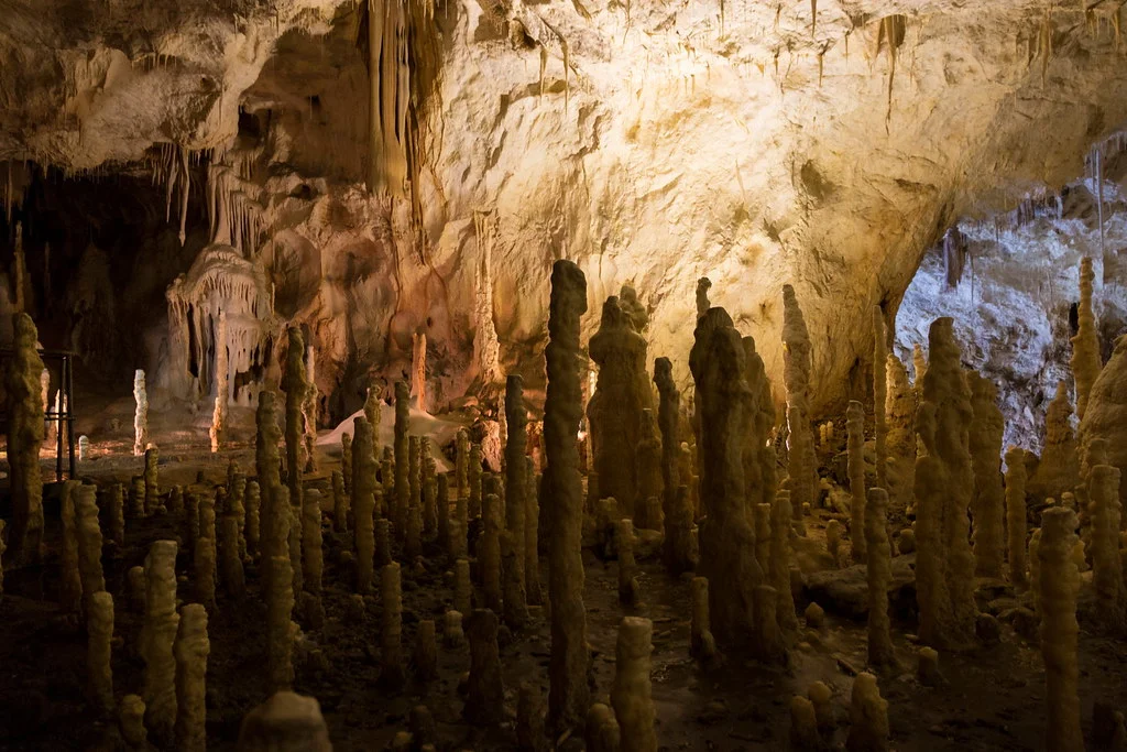 Grotte de l'Ours, Roumanie