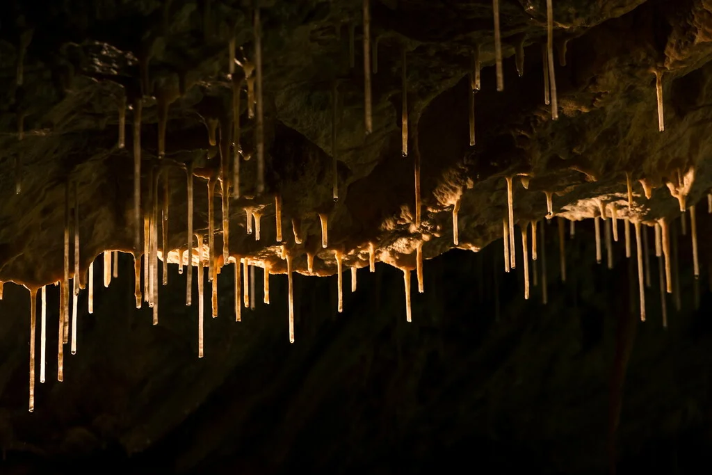 Grotte de l'Ours, Roumanie
