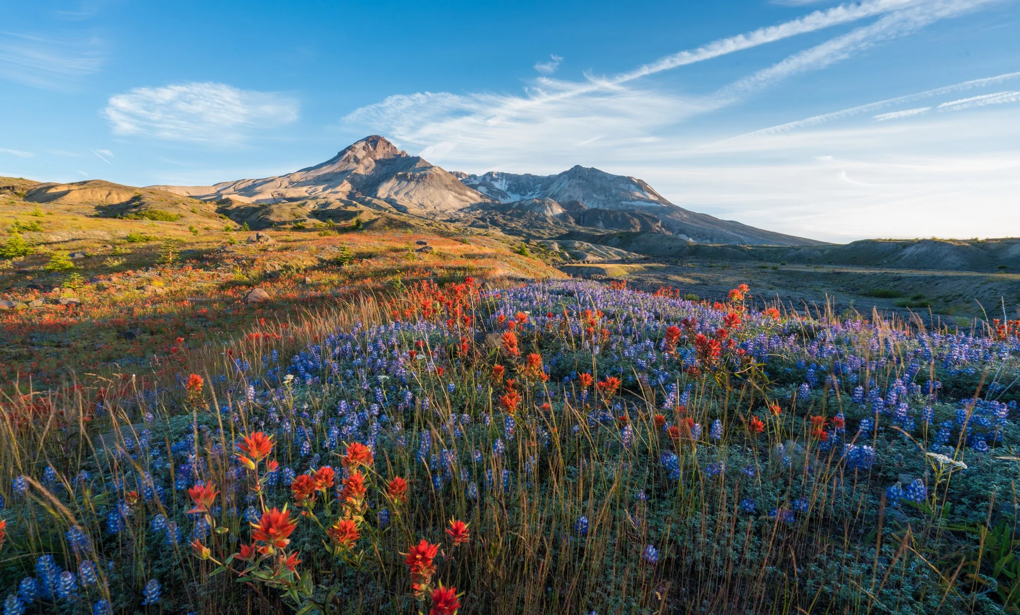 Loowit Viewpoint, États-Unis