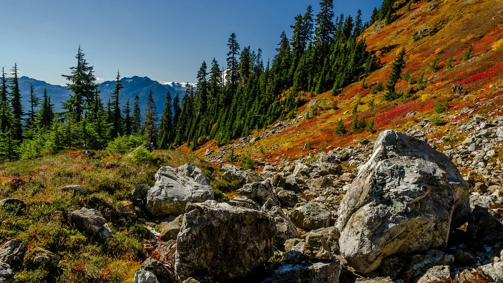 Forêt nationale du mont Baker-Snoqualmie, États-Unis