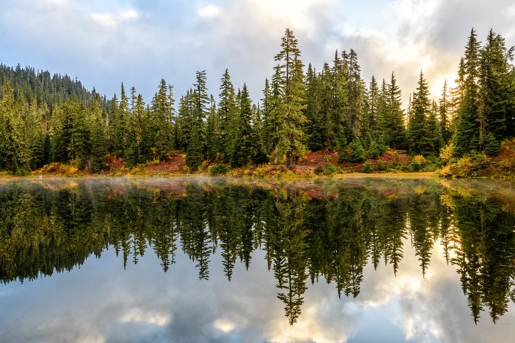 Forêt nationale du mont Baker-Snoqualmie, États-Unis