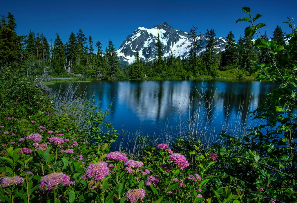 Forêt nationale du mont Baker-Snoqualmie, États-Unis
