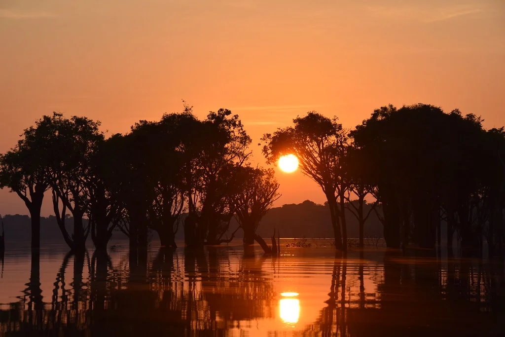 Rio Negro, Brésil