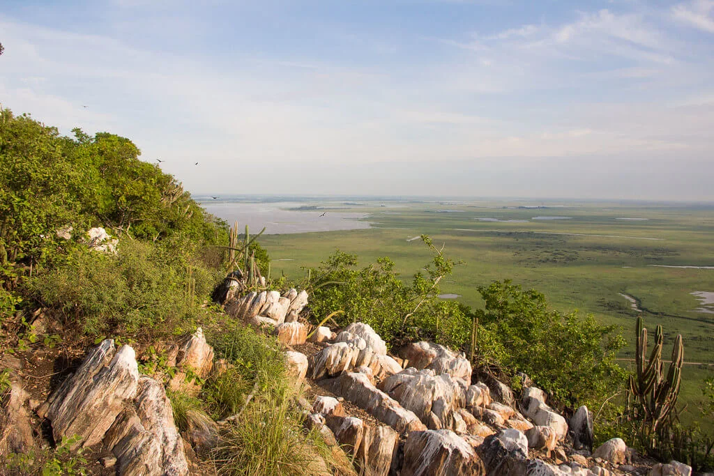 Parc national du Pantanal Matogrossense, Brésil