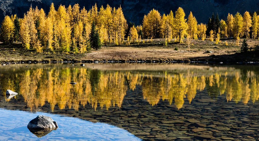 Pasayten Wilderness, États-Unis