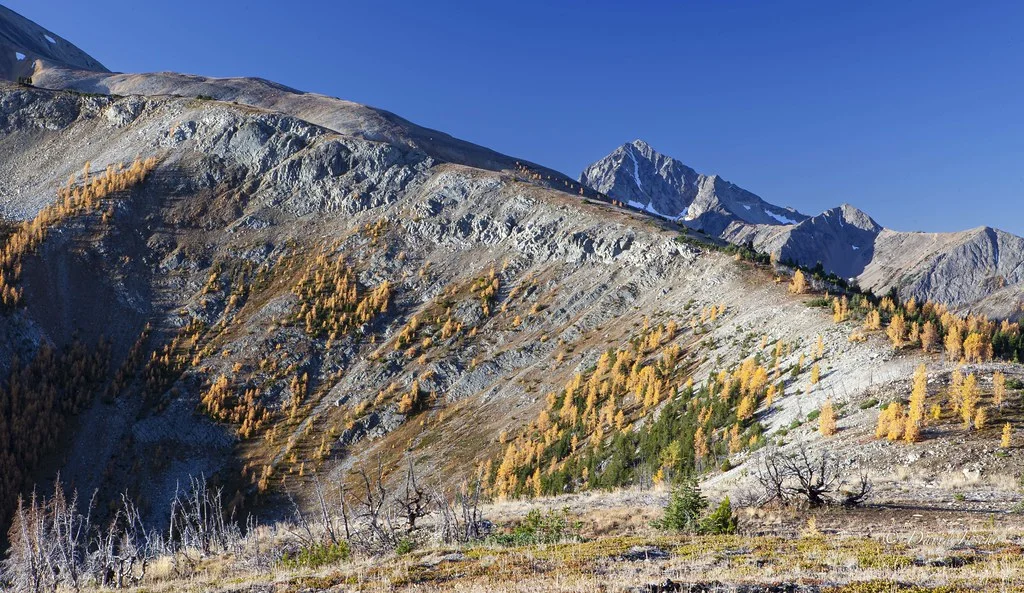 Pasayten Wilderness, États-Unis