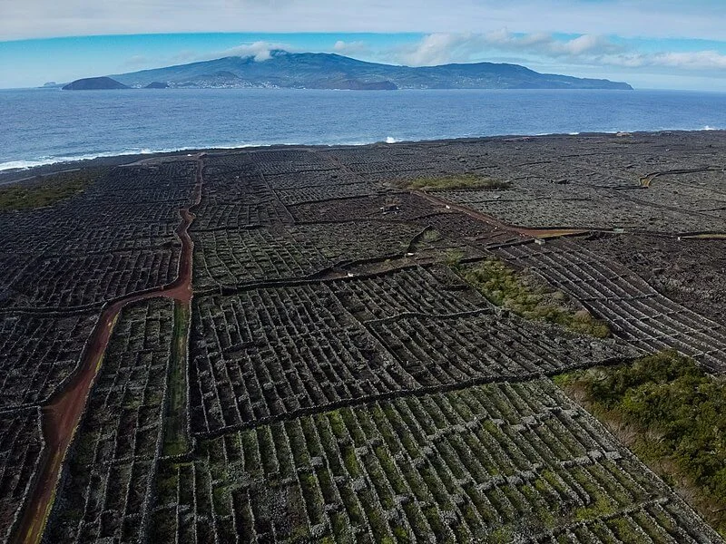 Paysage viticole de l'île du Pico, Portugal, Açores