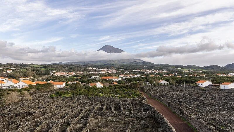 Paysage viticole de l'île du Pico, Portugal, Açores