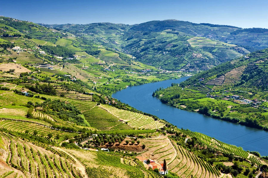 Vignoble de la vallée du Haut Douro, Portugal