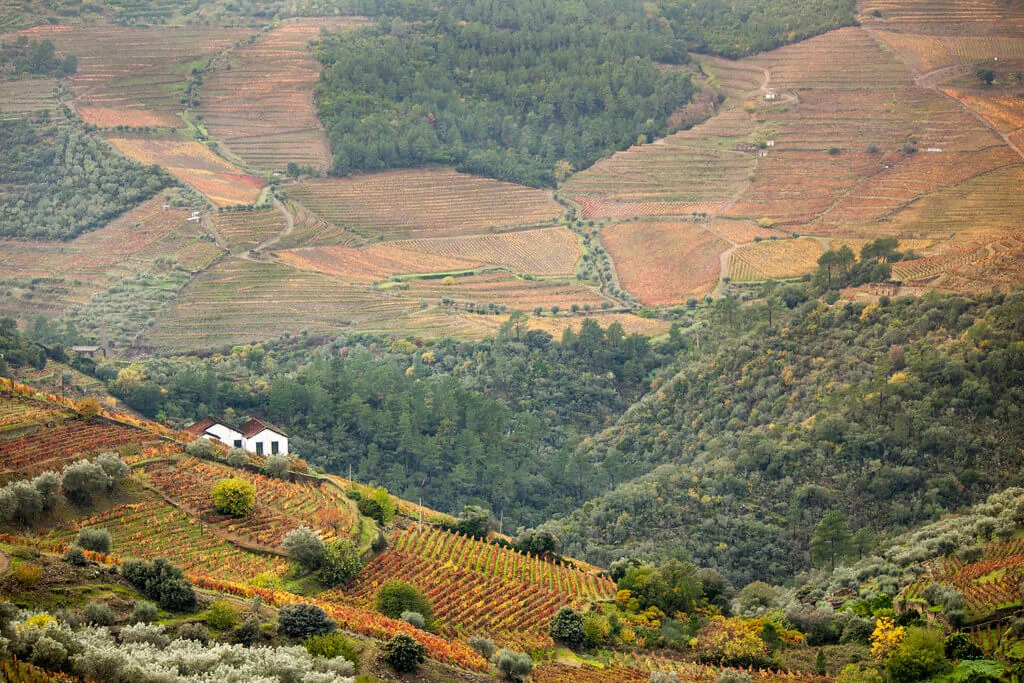 Vignoble de la vallée du Haut Douro, Portugal