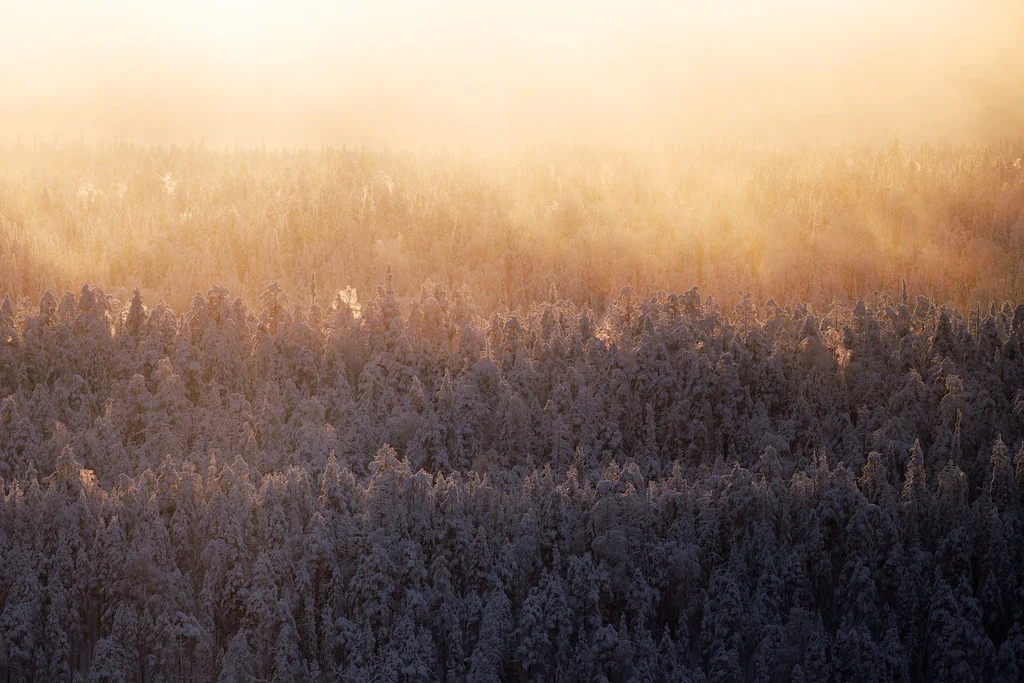 Parc national d'Oulanka, Finlande