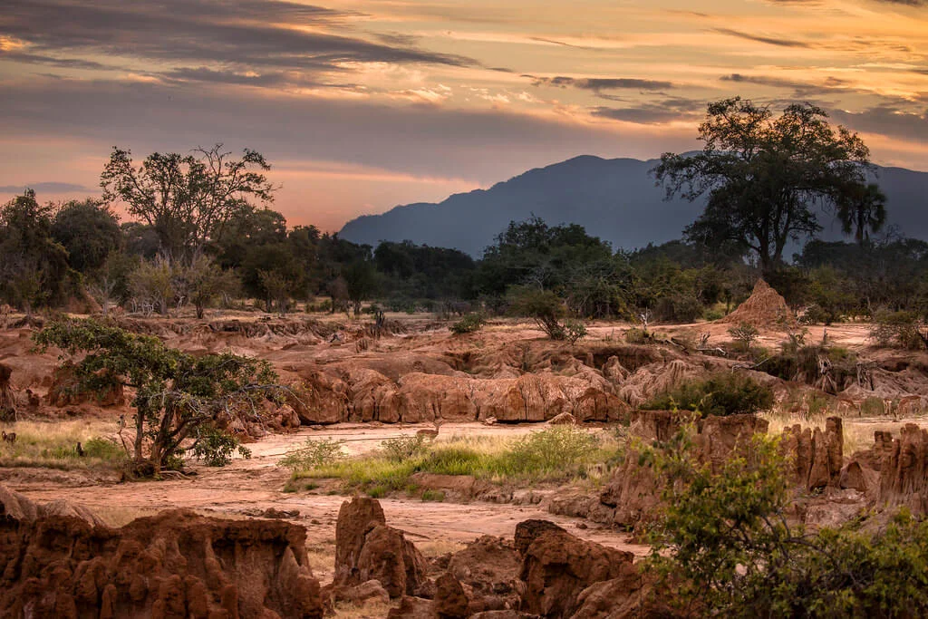 Parc national de Luangwa Sud, Zambie
