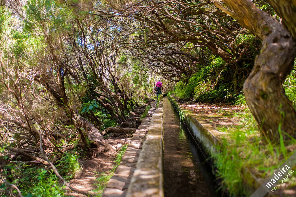 Levada das 25 Fontes, Portugal, Madère