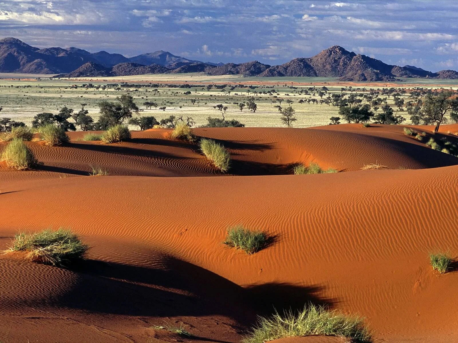 Tok Tokkie Hiking Trails, Namibie