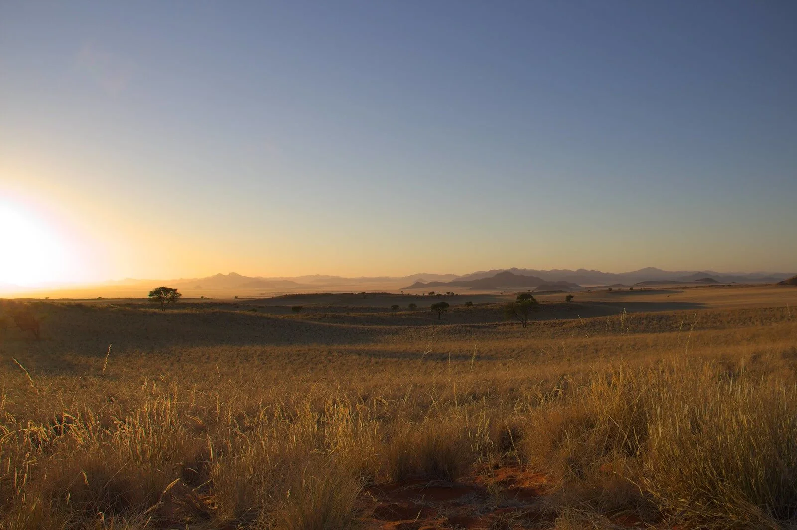 Tok Tokkie Hiking Trails, Namibie