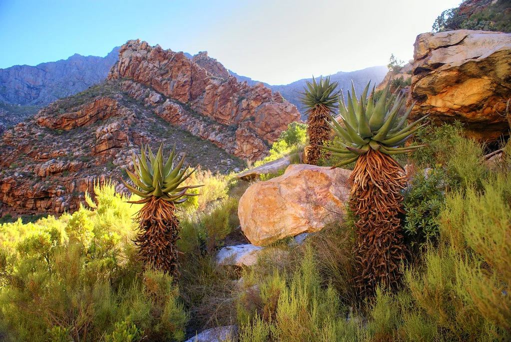 Seweweeks Poort, Afrique du Sud