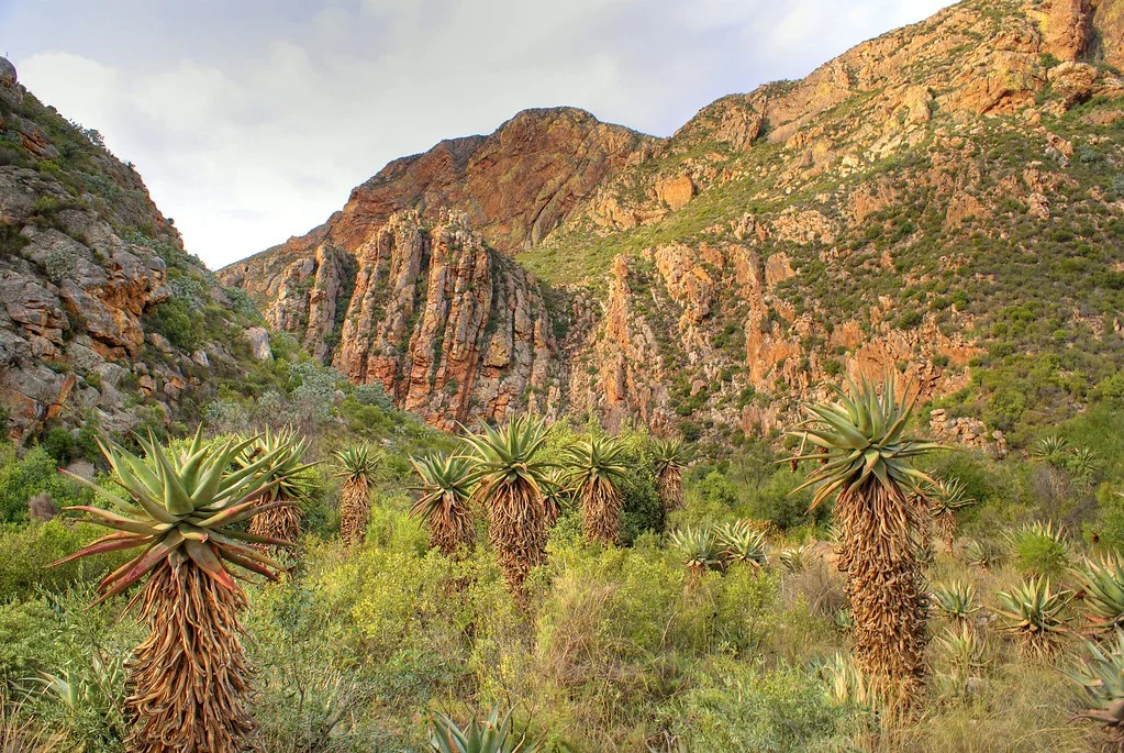 Seweweeks Poort, Afrique du Sud