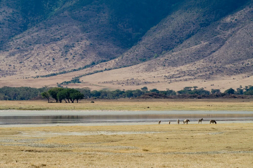 Lac Magadi, Kenya