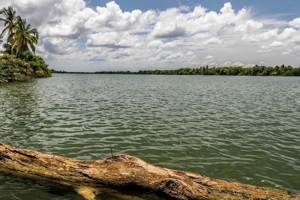 Pantanos de Centla, Mexique