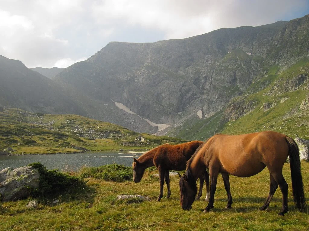 Sept lacs du Rila, Bulgarie