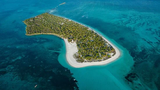 Fanjove, Tanzanie