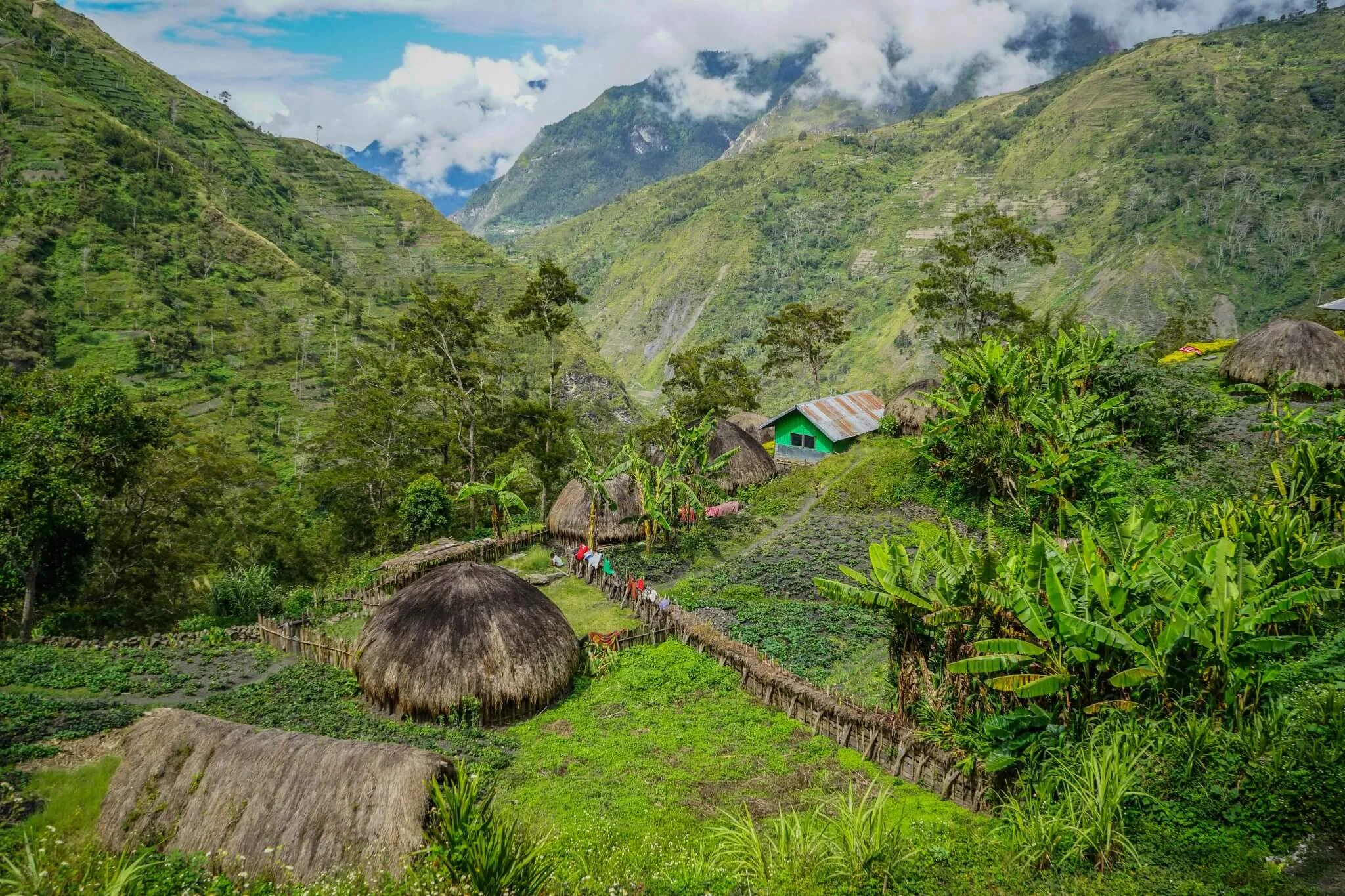 Vallée de Baliem, Indonésie