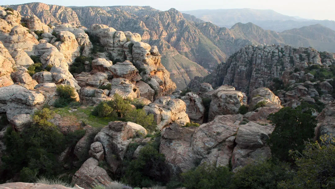 Réserve naturelle de Dana, Jordanie