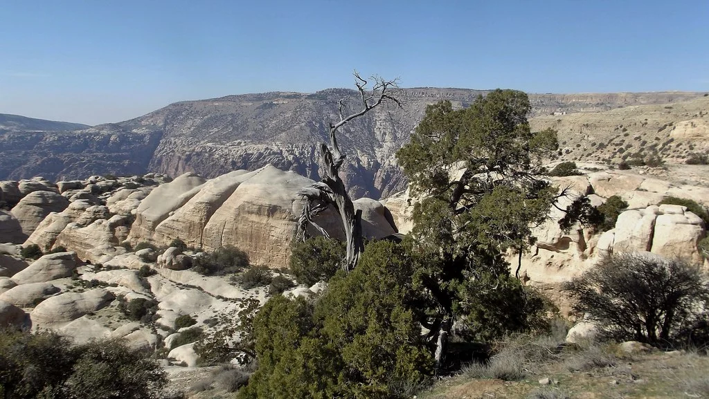 Réserve naturelle de Dana, Jordanie