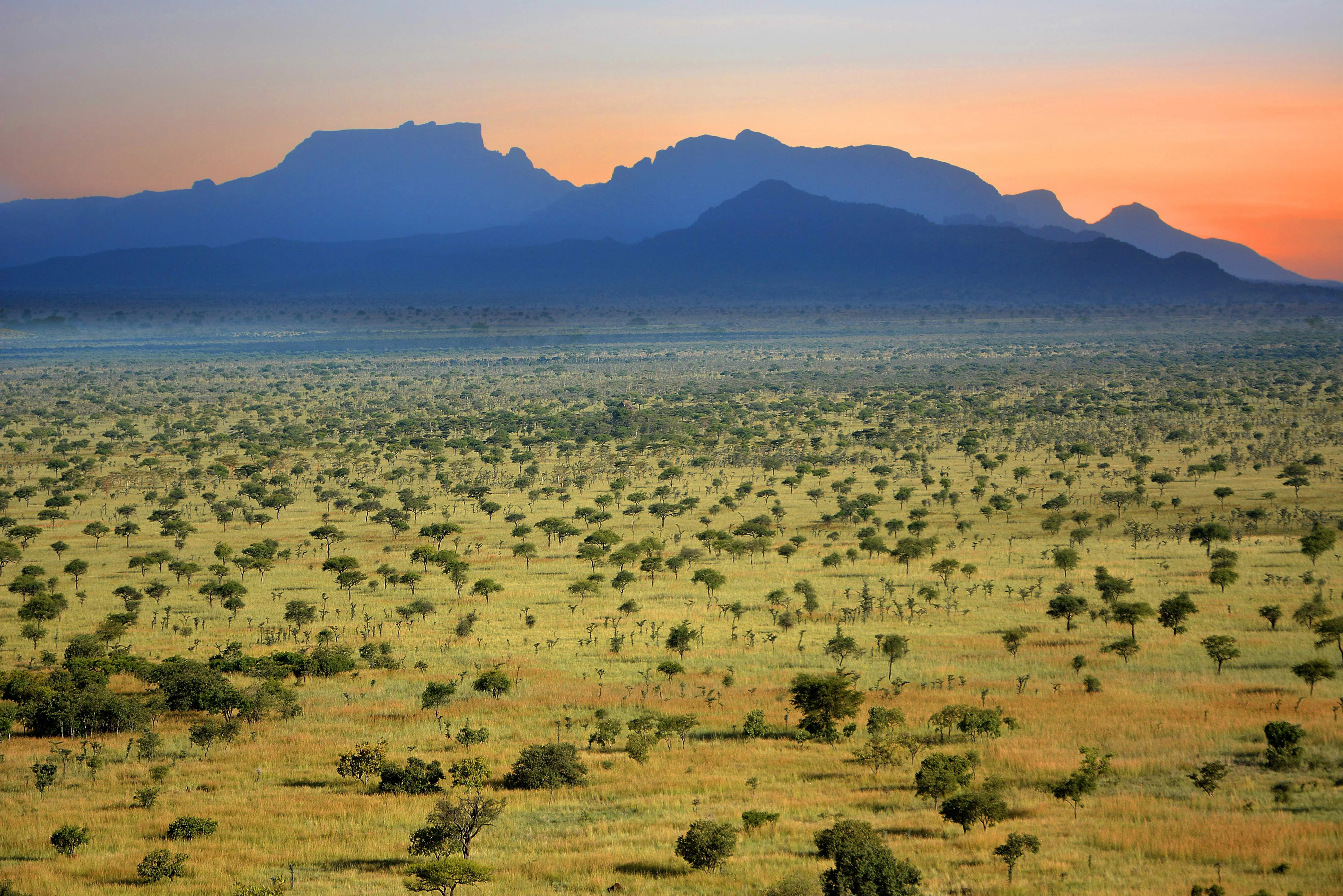 Pian Upe Game Reserve, Ouganda