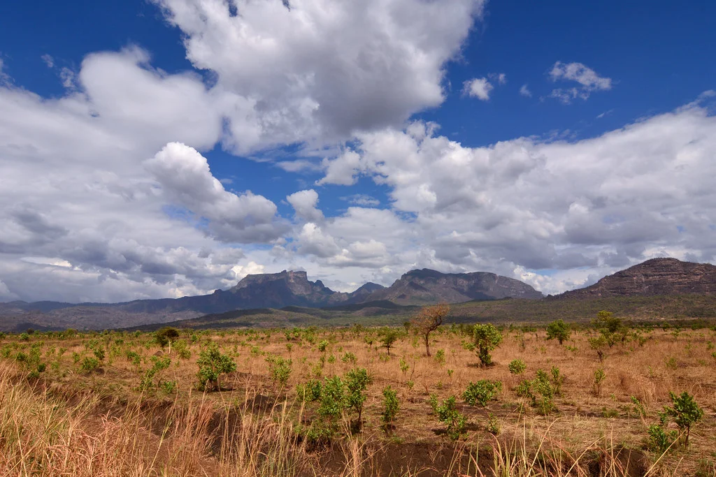 Pian Upe Game Reserve, Ouganda