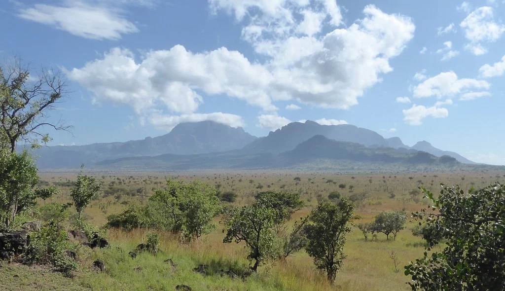 Pian Upe Game Reserve, Ouganda