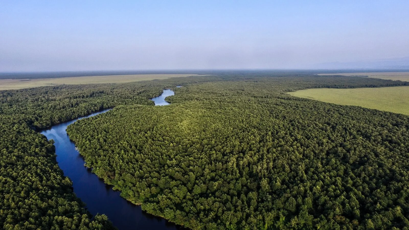 Parc national de Kolkheti, Géorgie