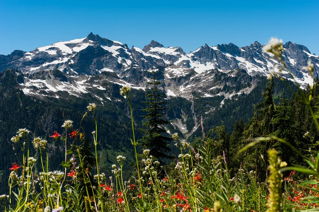 Henry M. Jackson Wilderness, États-Unis