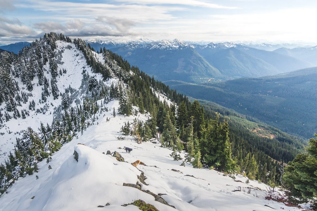 Henry M. Jackson Wilderness, États-Unis